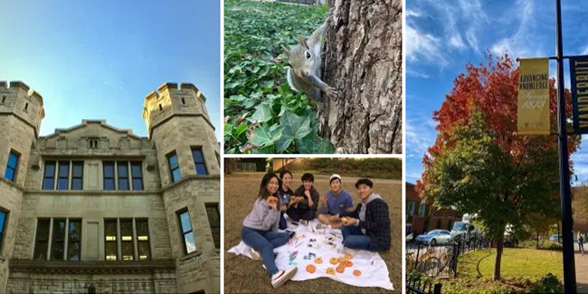 Vanderbilt University