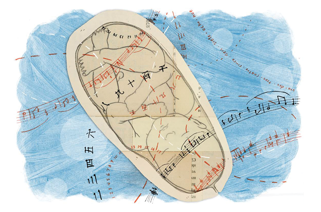 Illustration of fetus