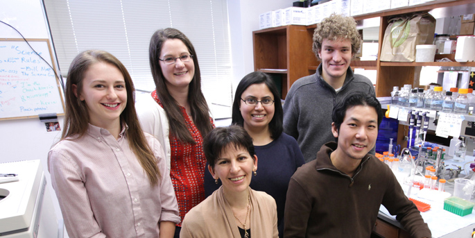 Vanderbilt University