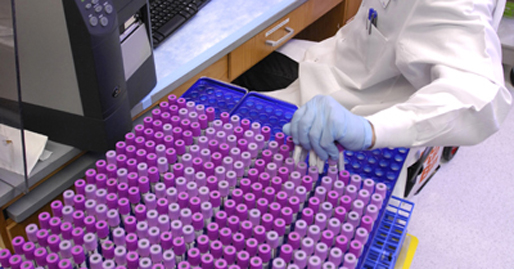 Vanderbilt University