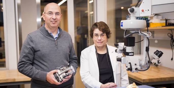 portrait in lab holding device