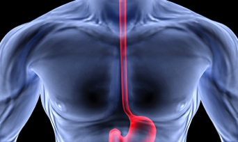 Vanderbilt University