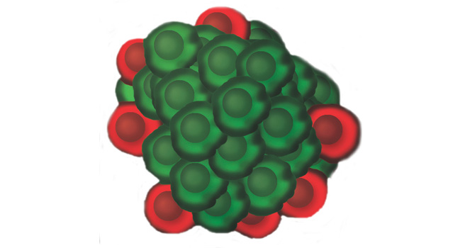 Vanderbilt University