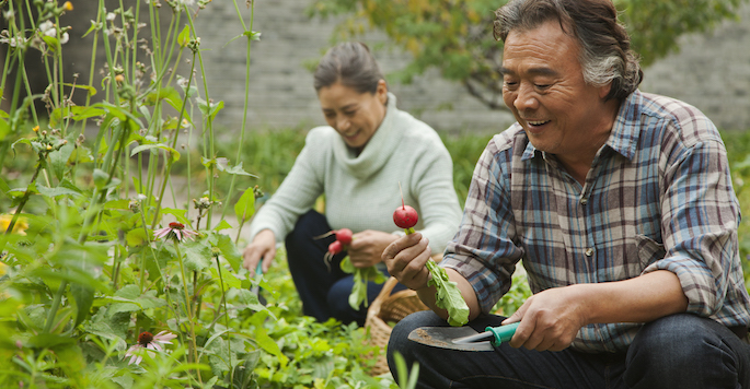 Senior East Asian couple in garden