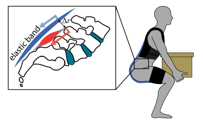 Elastic band (spring) in exosuit stretches during leaning and lifting, offloading low back extensor muscles (Zelik)