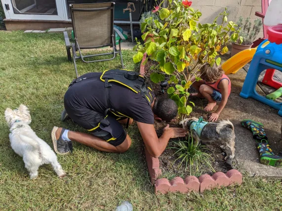 Zelik wearing the exosuit prototype while gardening.