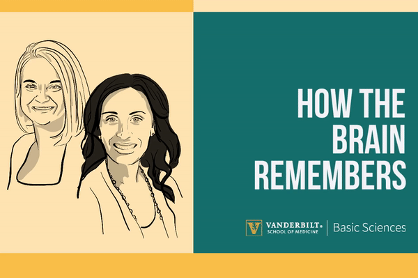 Vanderbilt University