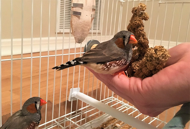 Vanderbilt University