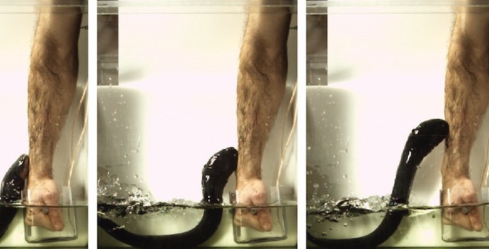 Vanderbilt University