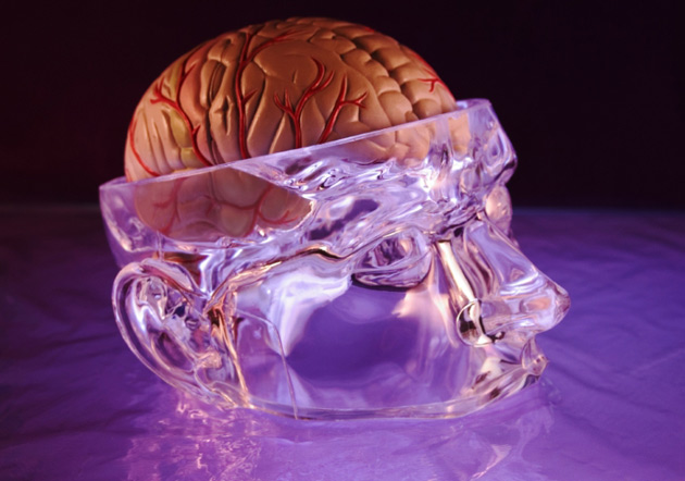 Vanderbilt University