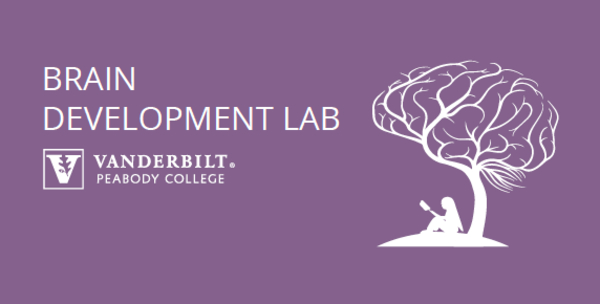 Brain Development Lab Vanderbilt Peabody College