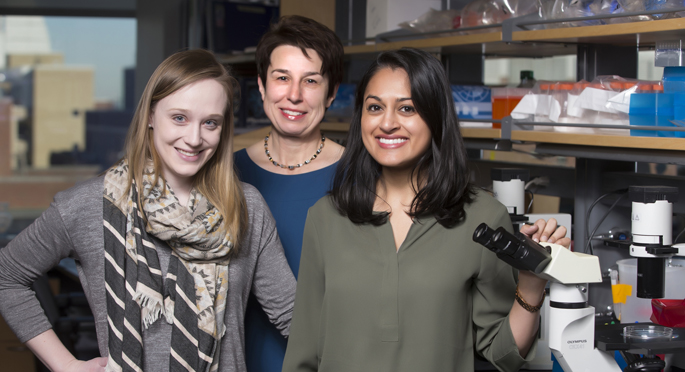 Vanderbilt University