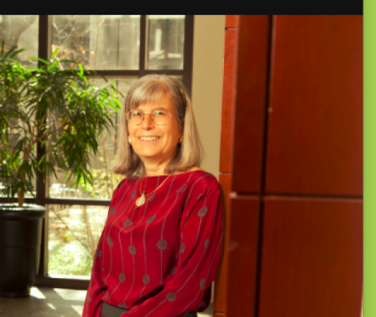 Image of SuzannaSherry