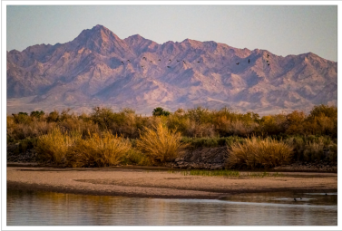 Nature photography by John Kuriyan