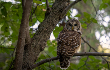 Nature photography by John Kuriyan