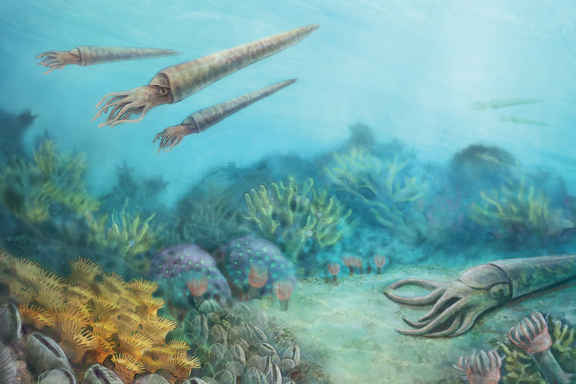 Prehistoric Nashville