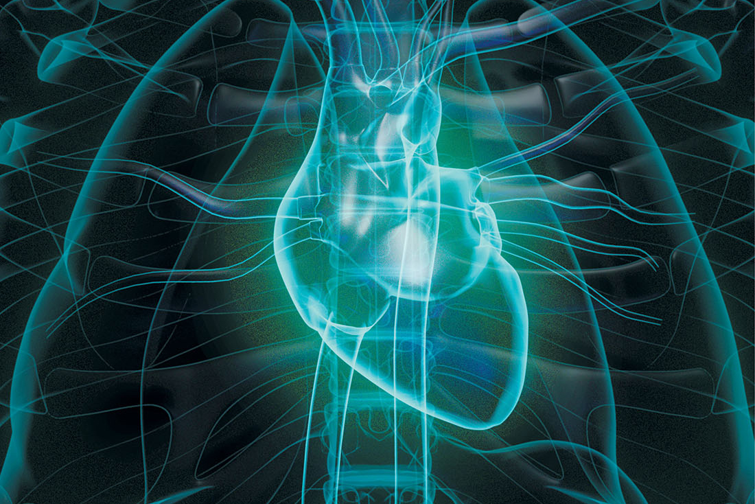 Vanderbilt University