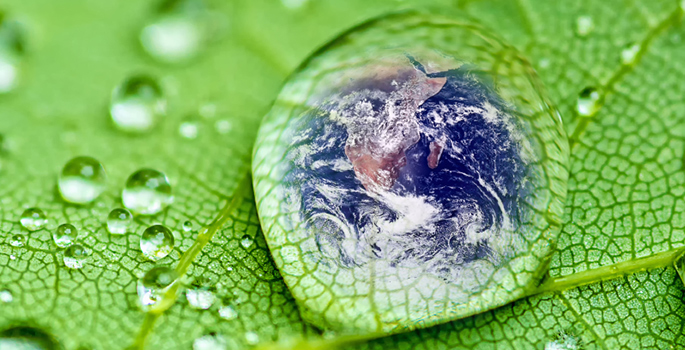 earth in drop of water on a leaf