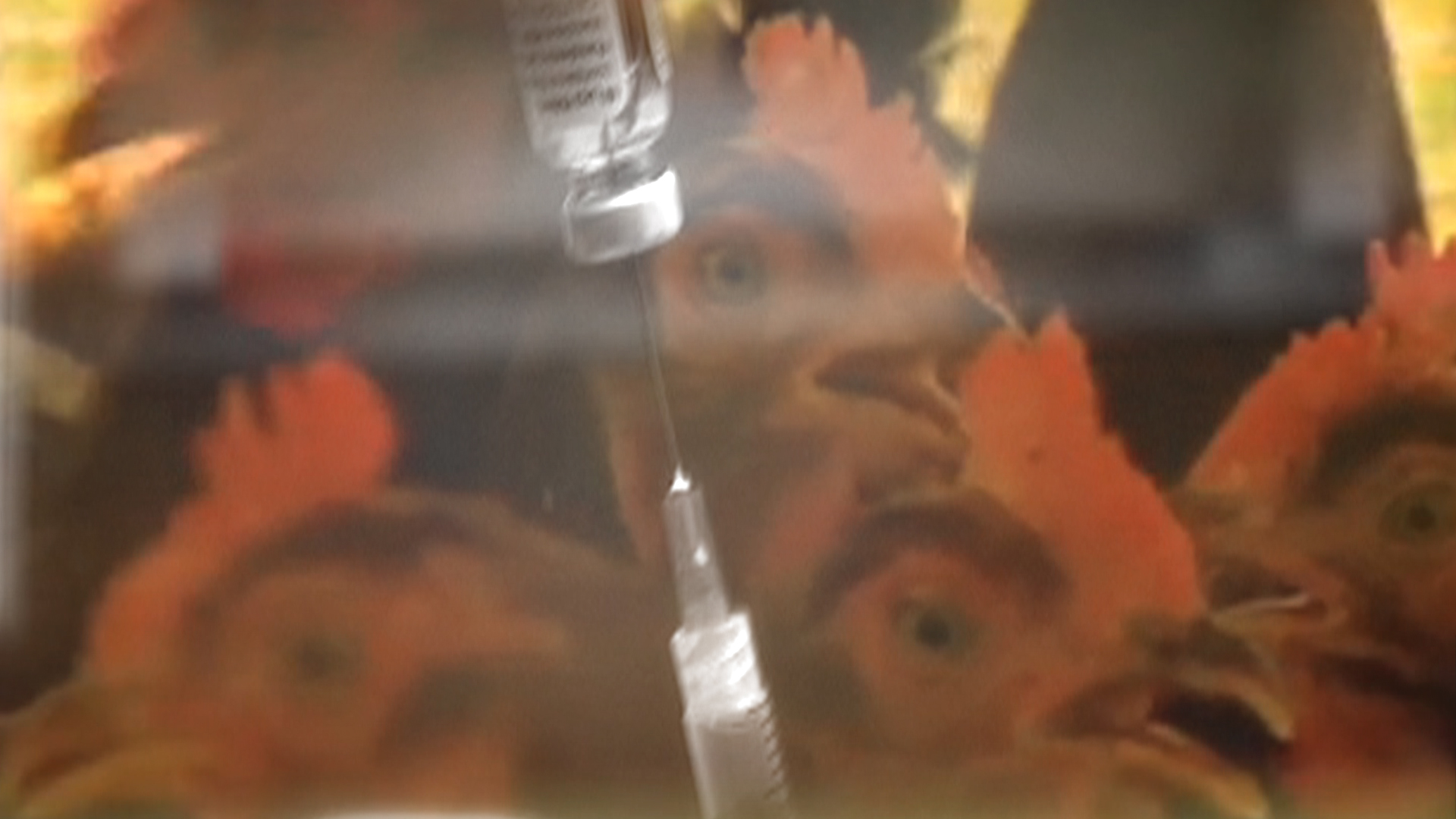 Vanderbilt University