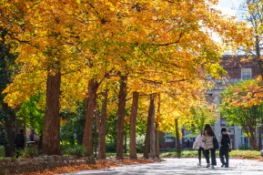 Students enjoying a nice fall day. Photo: Harrison McClary/Vanderbilt University