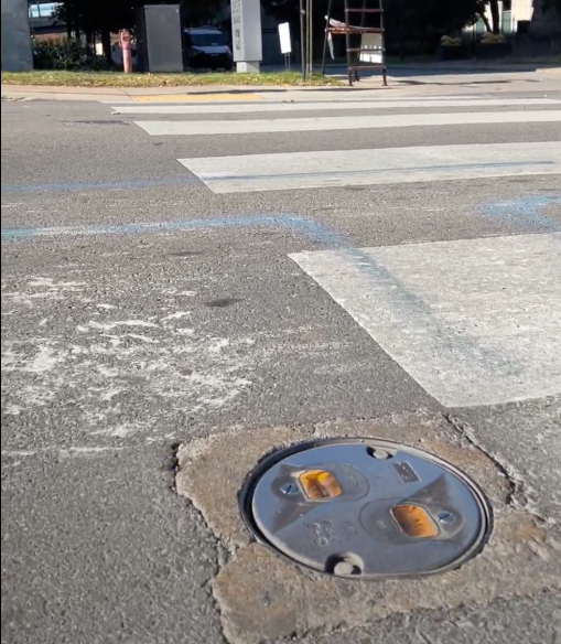 movevu special crosswalk 1