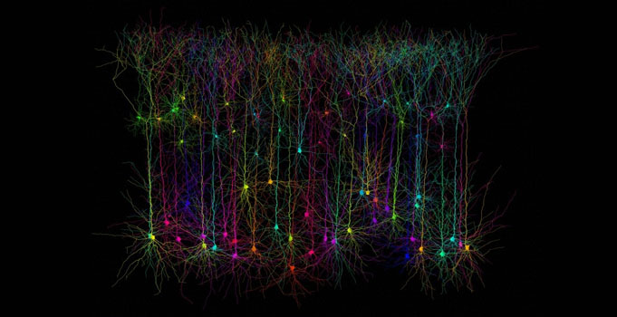 Vanderbilt University