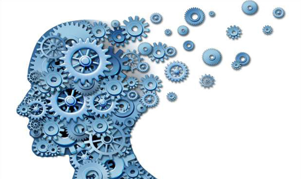 Vanderbilt University