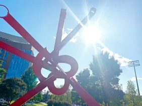 Tumbleweed sculpture, from Social 'Dore @a.parliament.of
