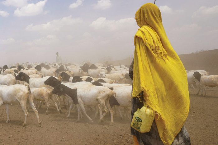 Vanderbilt University