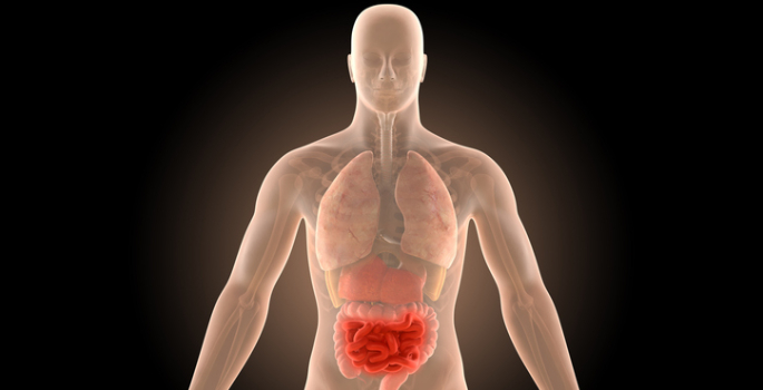 Vanderbilt University