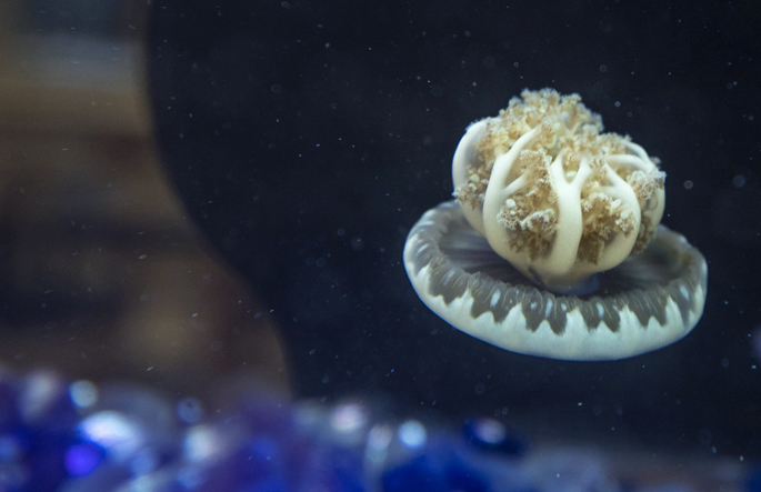 Vanderbilt University