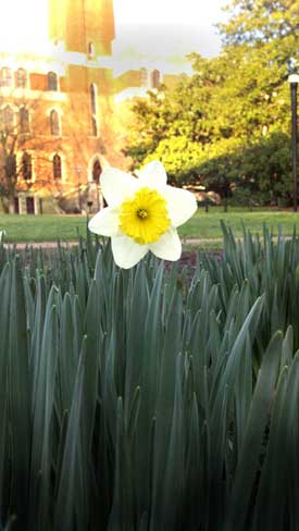 Vanderbilt University