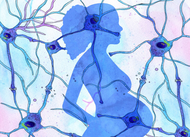 A rise in a mother’s blood levels of serotonin — a neurotransmitter that regulates mood, memory and gastrointestinal function — is associated with some, but not all forms of autism in children. (illustration by Diana Duren with Adobe Stock)