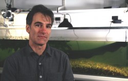 Cataniaeel Catania and eel tank