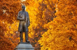 Commodore_fall_leaves