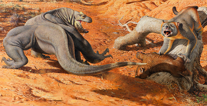 Illustration of giant lizard fighting off a giant bear-like marsupial