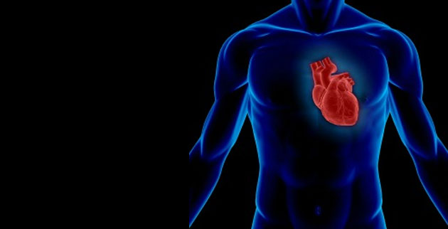 Vanderbilt University