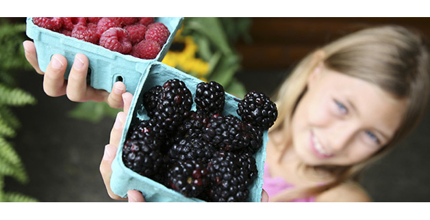 (Image courtesy of Community Food Advocates)