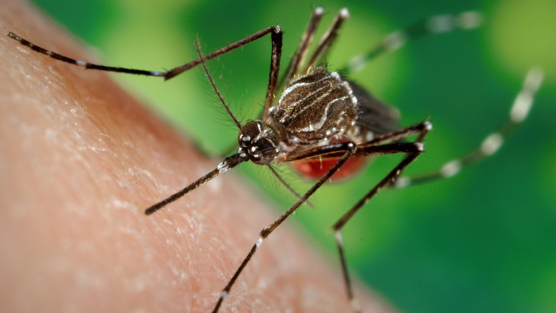 Vanderbilt University