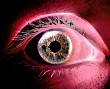 eye image