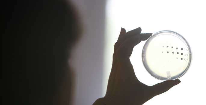 Vanderbilt University