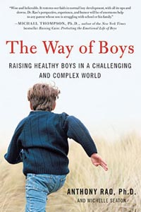 book-TheWayofBoys_coverlt