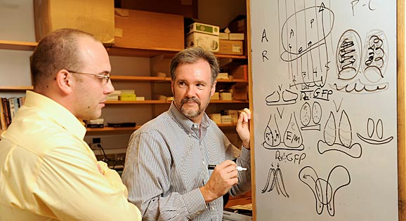 bio-clock-whiteboard-fullwidth lab photo