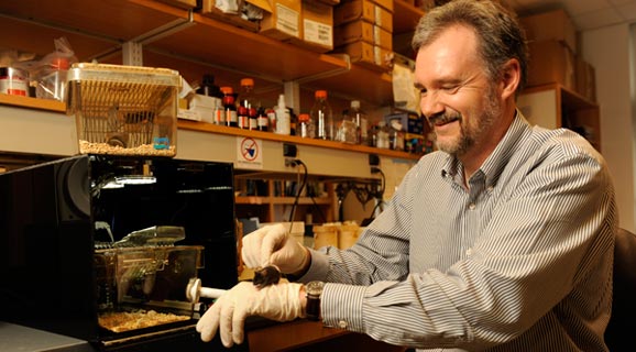 bio-clock-Mouse-fullwidth photo of lab