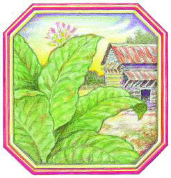 Southern-Journal-Art