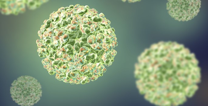 Stock image of an alphavirus cell. 