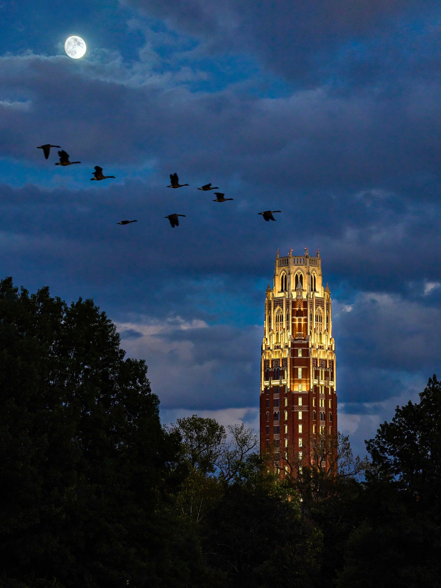 West End Tower is light up at dusk, with a full moon and dark clouds seen. A flock of geese silhouettes fly through the sky. 