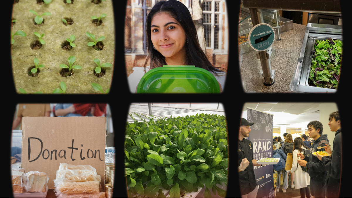Collage of images related to sustainability; Top row (left to right): Rows of plants begin to grow; A student holds a reusable container; A salad bar with a sticker of Tennessee state that says 'Sustainable. Fresh. Local.'; Bottom row (left to right): A signs reads "Donation"; Plants grow in a greenhouse; Students try food at Rand.