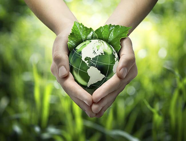 Hands hold a small green globe, with leaves peeking out from behind. The blurred background shows green grass. 
