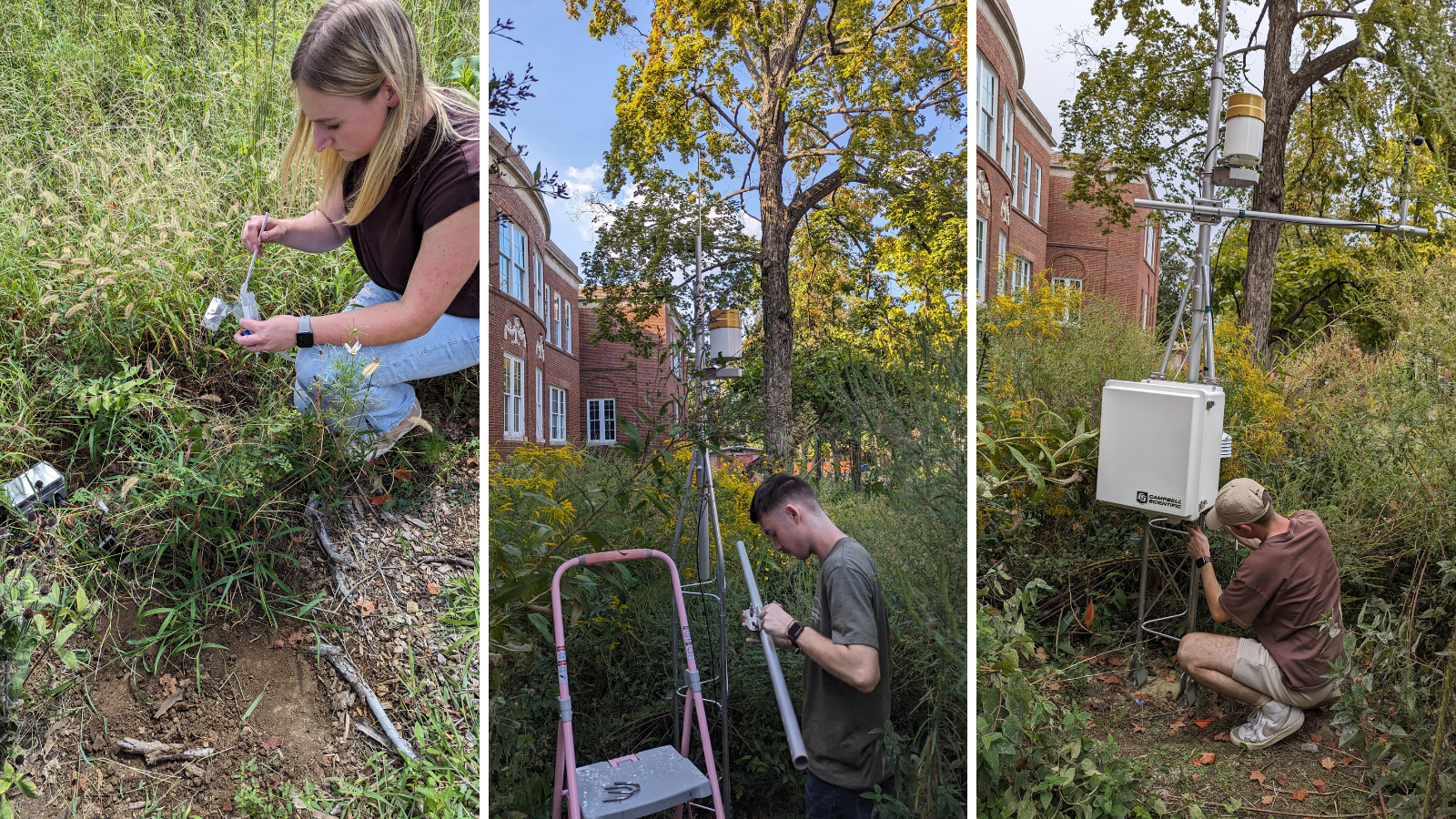 Three-image collage of students conducting research at the Native Meadow.